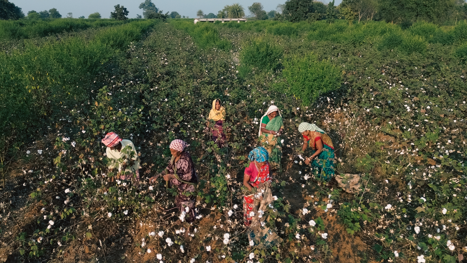 Why Vottera is Invested in Regenerative Organic Clothing