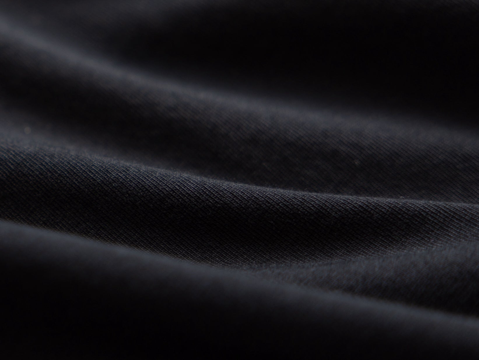  close up photo of vottera tshirt