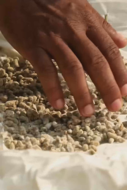 video of organic cotton t-shirt production